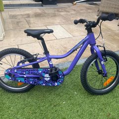 Ridgeback MX16 Purple - 3 weeks old