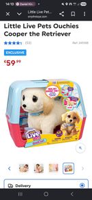 Pet alive Dog