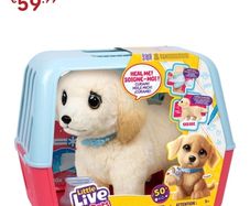 Pet alive Dog