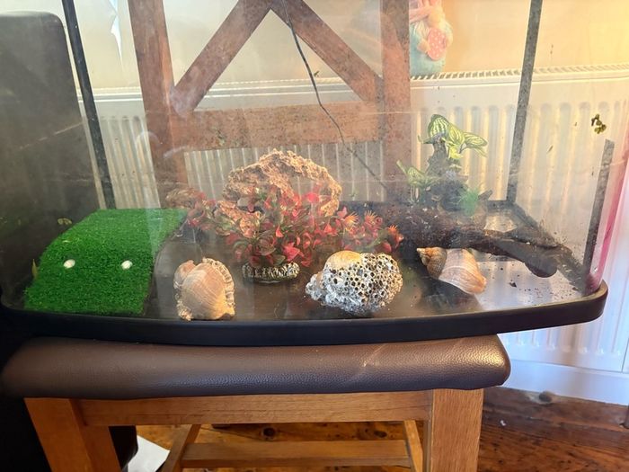 fish/ turtle aquarium