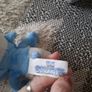 small plush smurf Image 4