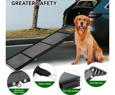 dog ramp