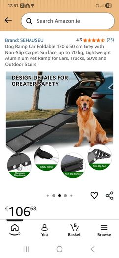 dog ramp