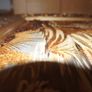 large real amber pictures Image 2