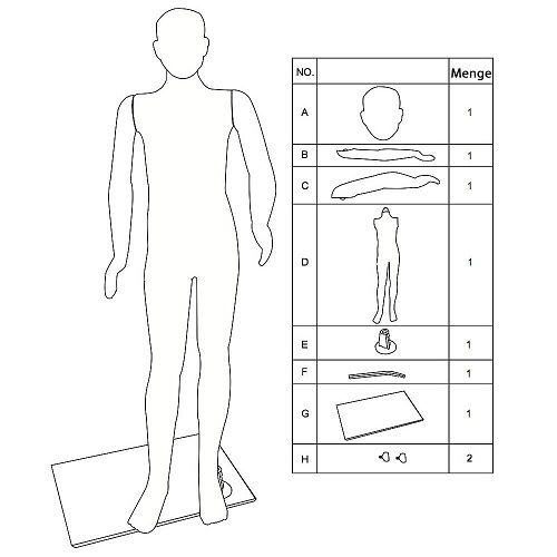 Home or Business male mannequin - FREE Delivery