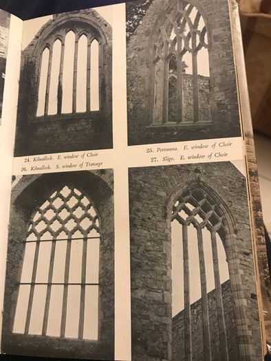 Rare 1st Edition-The Irish Dominicans