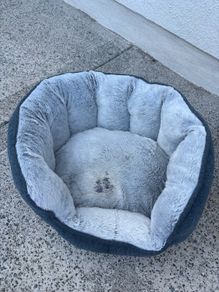 Small dog bed