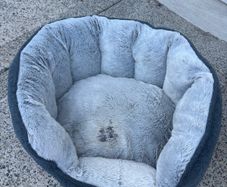 Small dog bed