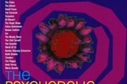 The Psychedelic Scene 2lp RSD