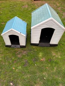 Dog House Kennel