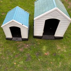Dog House Kennel
