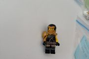 lego hero Cole