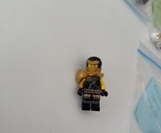 lego hero Cole
