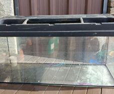 110 l fish tank