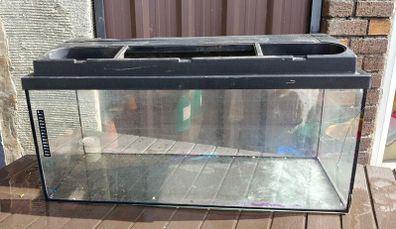 110 l fish tank