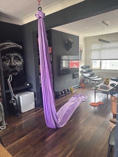 Hanging silk and hook suspension system