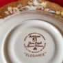 21 Piece Arklow Elegance Bone China Tea Set For 6 Person Setting Made In Ireland Image 10