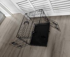 dog crate