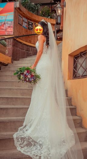 Wedding Dress + Underskirt + Veil
