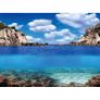 Plants - Ocean background 60x30cm Image 3