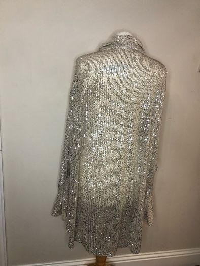 Boohoo champagne sequinned blouse (size 28)