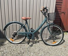 Adult Cleia Bike