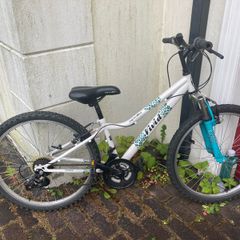 Mountain bike 8-11 yr old