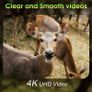 Wifi Trail Camera, 4K 64MP Memory Card Image 3
