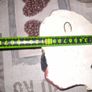 2 Vintage Rare Sultans With Turban Bossom Image 6