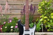 Squier Standard Series Stratocaster