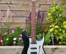Squier Standard Series Stratocaster