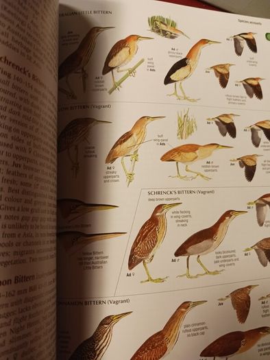 The Australian Bird Guide / 2017/ 1st edition