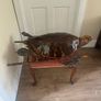 Antique Rare Large Taxidermy Hawksbill Sea Turtle Image 6