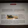 Wiking John Deere 9620RX 1/32 Scale Model Image 2