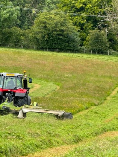 Hay Round bales Itilian rye grass