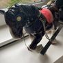 Vintage Ceramic Shire Horse and Trap Image 5