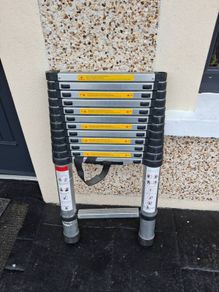 Telescopic extendable ladder