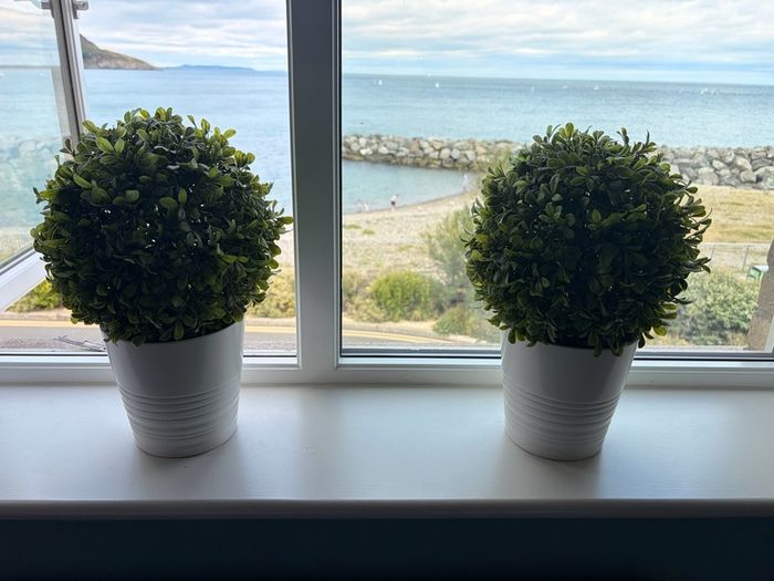 Pair of Ikea Fejka Artificial Potted Plants Boxwood Topiary Balls