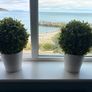 Pair of Ikea Fejka Artificial Potted Plants Boxwood Topiary Balls Image 2