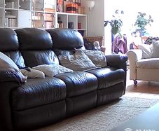 Sofa Brown Recliner