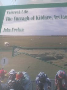 Books of Kildare Interest