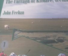 Books of Kildare Interest