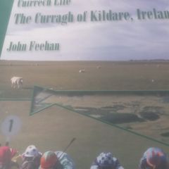Books of Kildare Interest