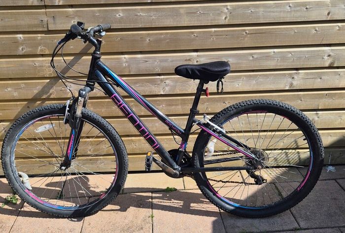 Boys & Girls Mountain Bikes
