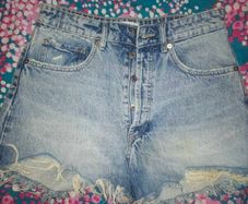 Zara shorts