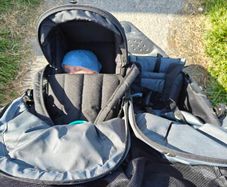 Nipper Pod out n about buggy