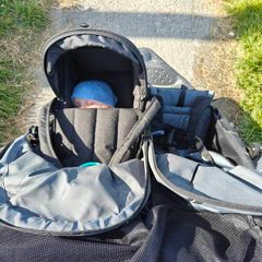 Nipper Pod out n about buggy