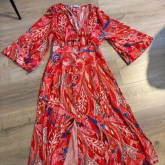 Zara dress