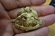 Irish Army Communications and Information Services Corps Badge