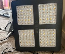 LED Grow lights and Extractor Fan